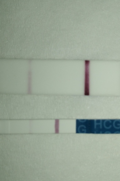 高温期16日目 検査薬色々 二人目不育症日記 高温期16日目 検査薬色々 二人目不育症日記
