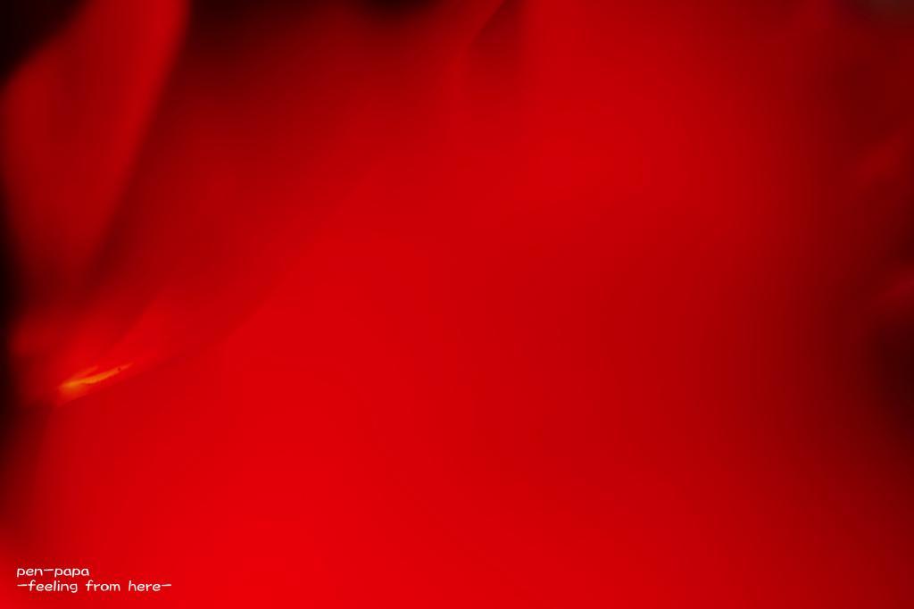 c0356480_15361056.jpg