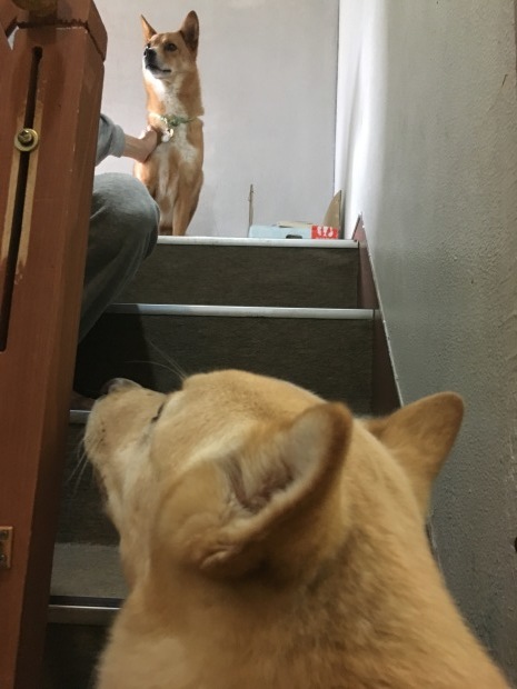 b0377882_08151083.jpeg