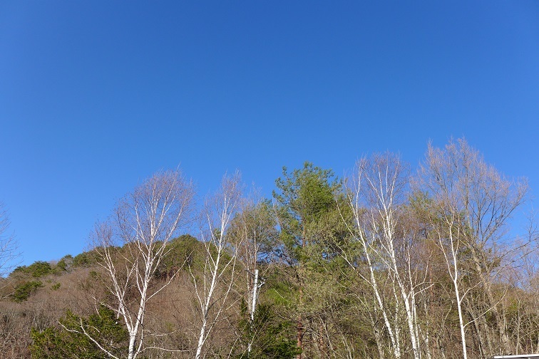 a0130586_19270796.jpg