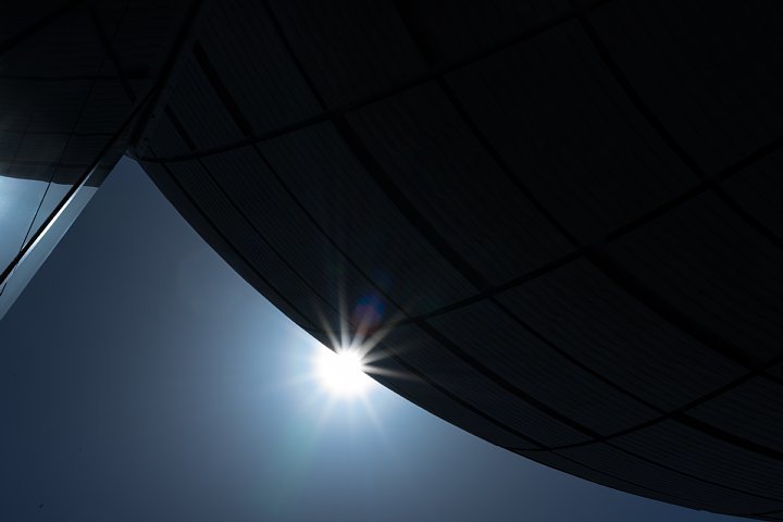 のしかかる球体ににじり寄る光蜥蜴_d0353489_00273336.jpg