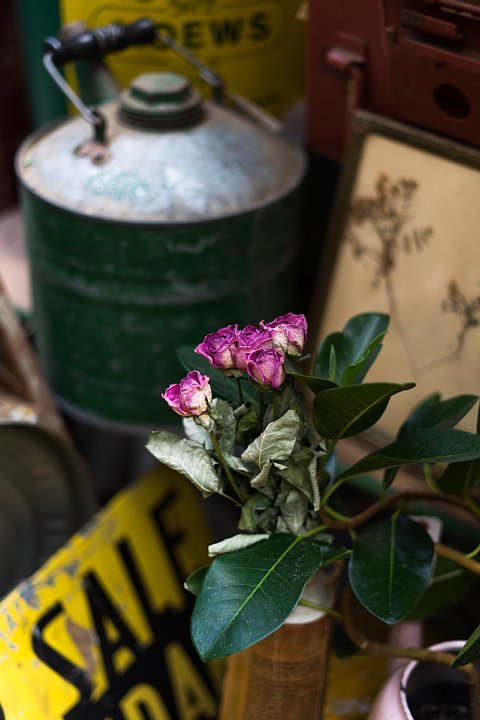 永遠の命を得た花たち_d0353489_14195220.jpg