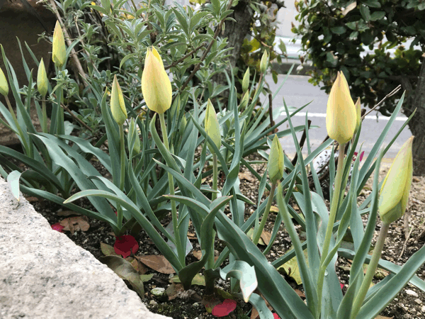 c0139090_06352329.gif