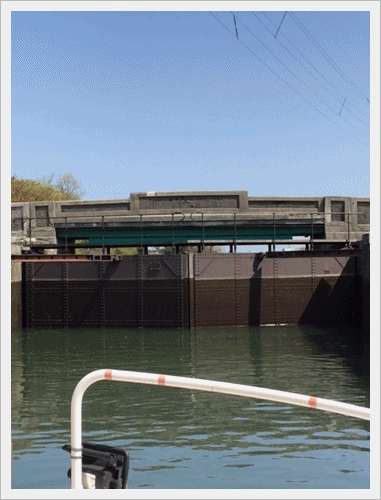 a0104892_2242238.gif