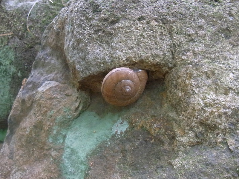 c0380497_07072266.jpg