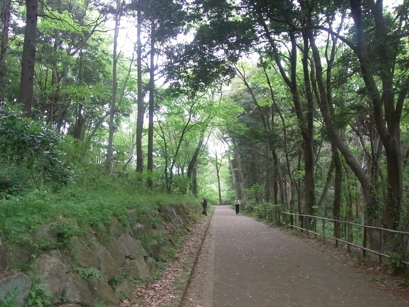 c0380497_07074520.jpg