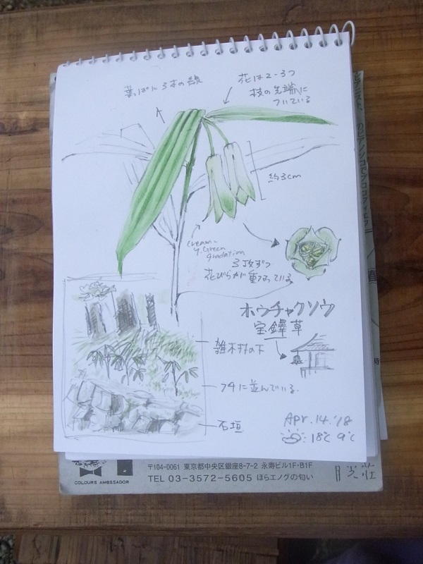 c0380497_07103166.jpg