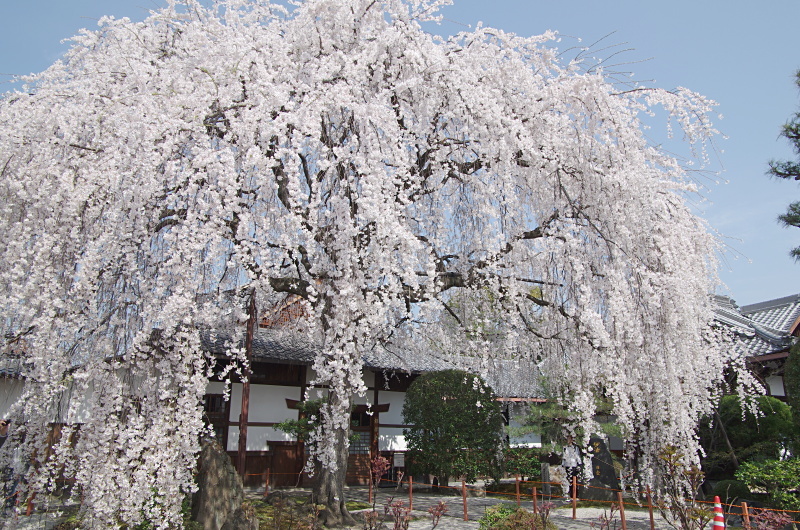c0382798_08581913.jpg