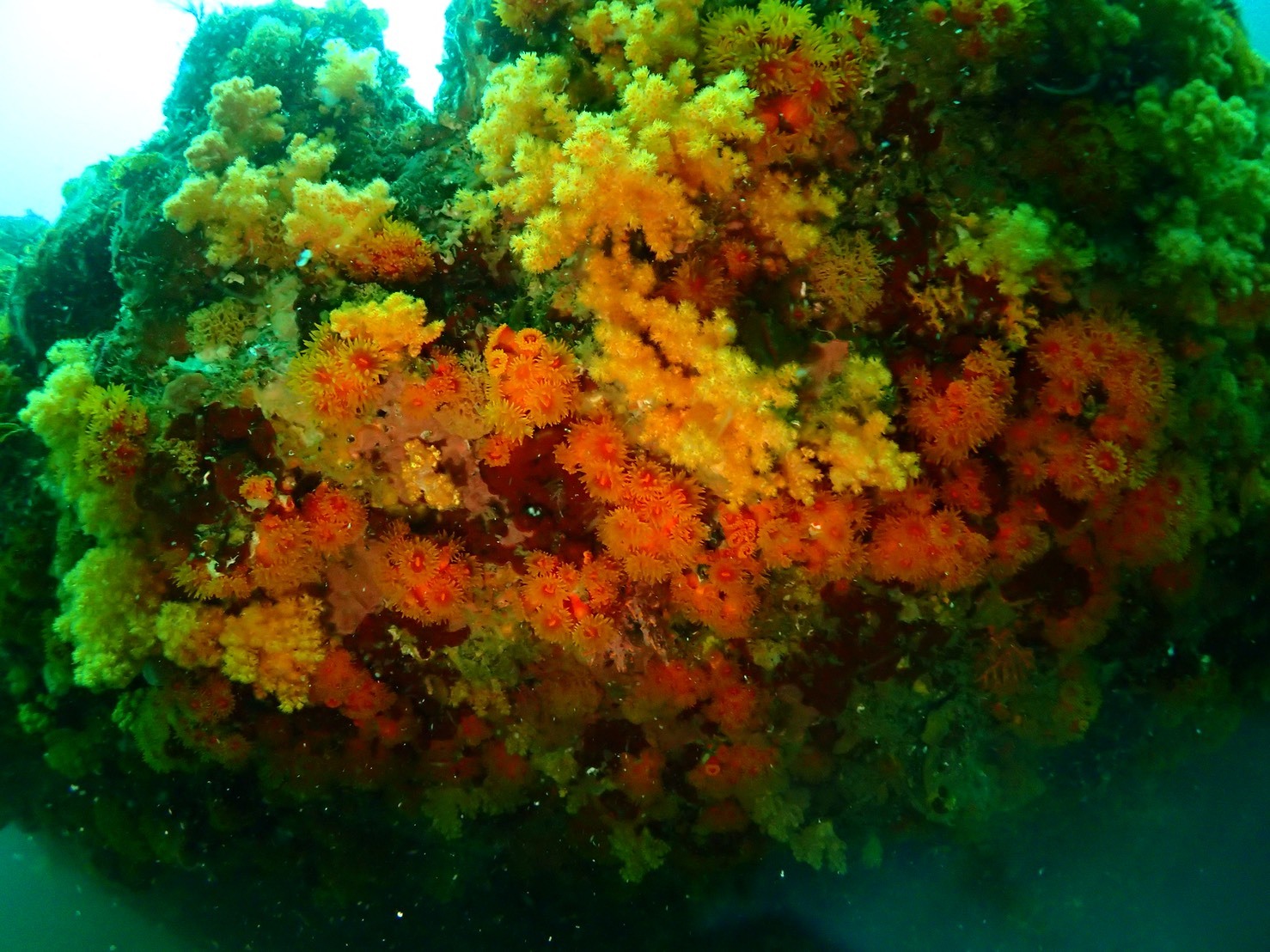 e0115199_18160286.jpg