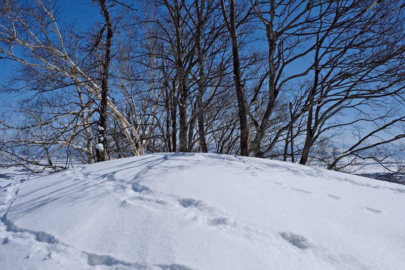 盤渓曹津地 （三等三角点   　新十津川町   　そっち岳）  2018.3.21_f0200402_20580169.jpg