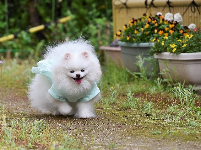 減らない悩み_d0360206_00210332.jpg