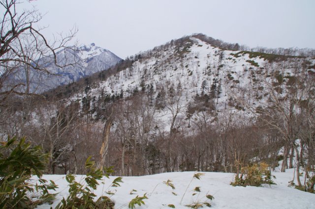 2018年4月14日(土)　イチャンコッペ山(標高828.7m)&幌平山（718.1m)_a0345007_1305082.jpg