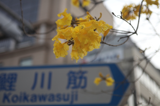 a0251508_23164928.jpg