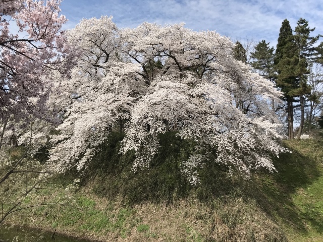 c0145608_14421540.jpeg