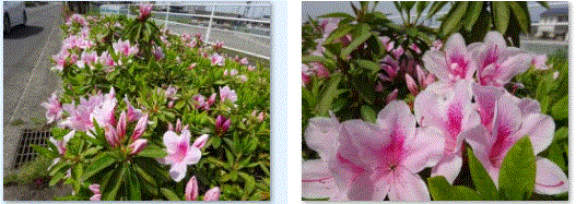 f0231709_14570650.gif