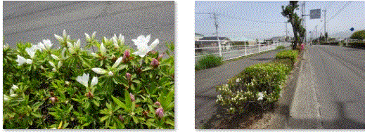 f0231709_15073313.gif