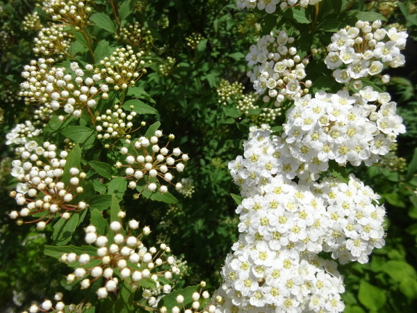 f0231709_15300366.jpg