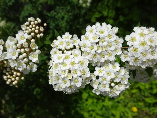 f0231709_15313564.jpg