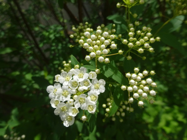 f0231709_15324888.jpg