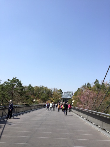 MIHO MUSEUM ピンクのトンネルと美しい建物　_d0341811_15425532.jpg