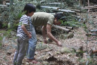no380 山々の緑はもう夏の気配!(伊豆下田アトリエ活動 4月)_a0139315_12202711.jpg