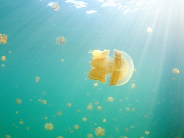 デラワン報告2_c0211615_17424341.jpg