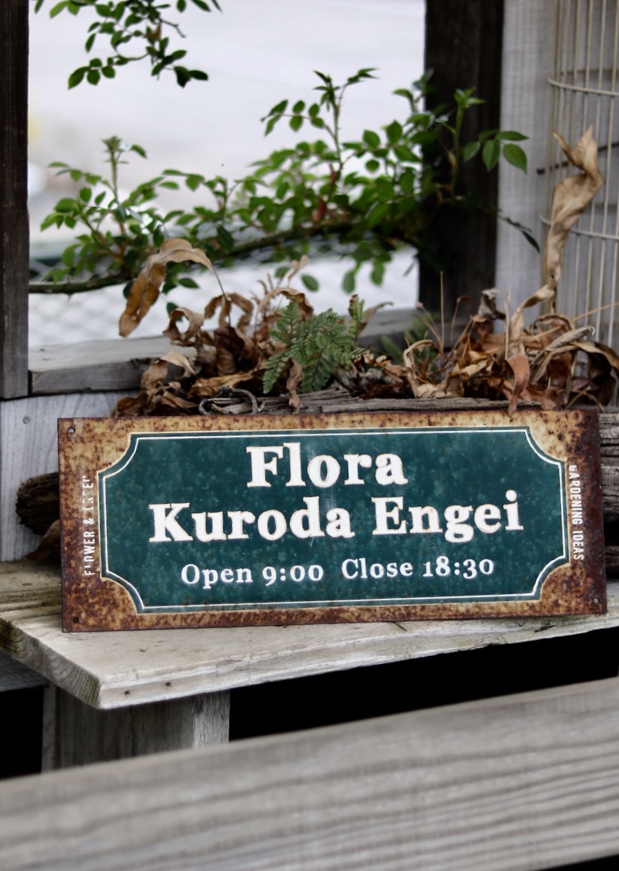 フローラ黒田園芸さんでお買い物 ゆきなそう 猫とガーデニングの日記