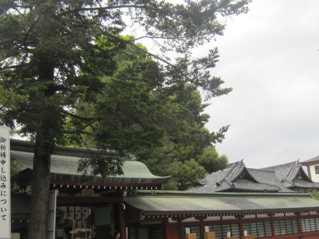 d0162225_00000536.jpg