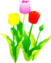 f0213825_10173766.png