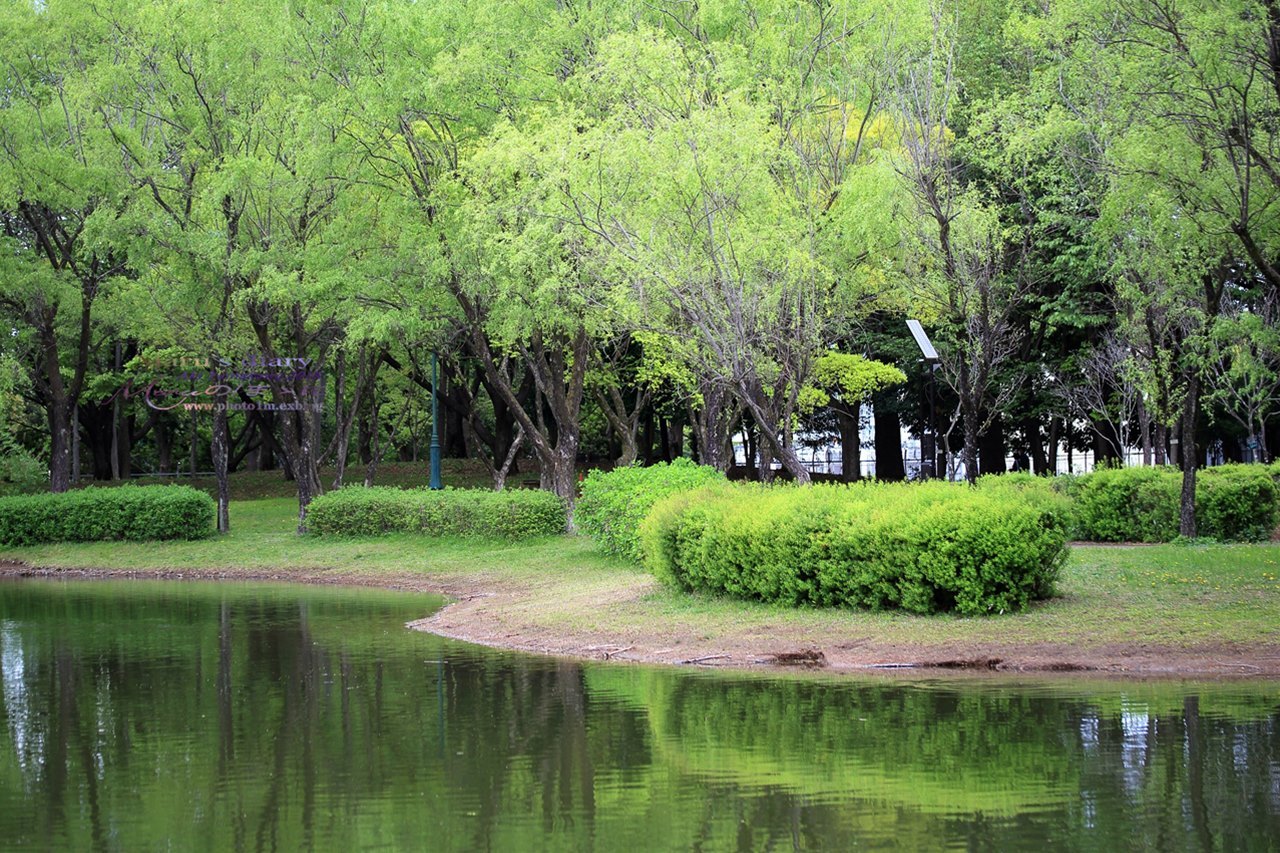まゝに/4月の散策/お散歩スナップ/彩の森公園_d0342426_00014949.jpg