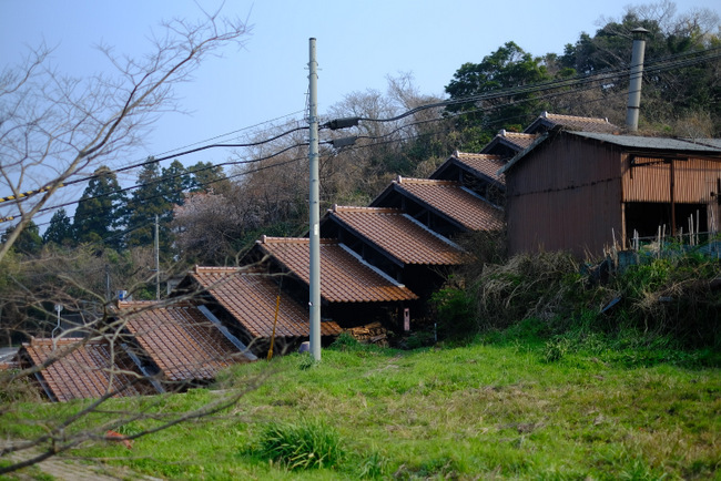 「島根県　温泉津さんぽ　重要伝統的建造物群の街並みと銀山街道」_a0000029_11553505.jpg