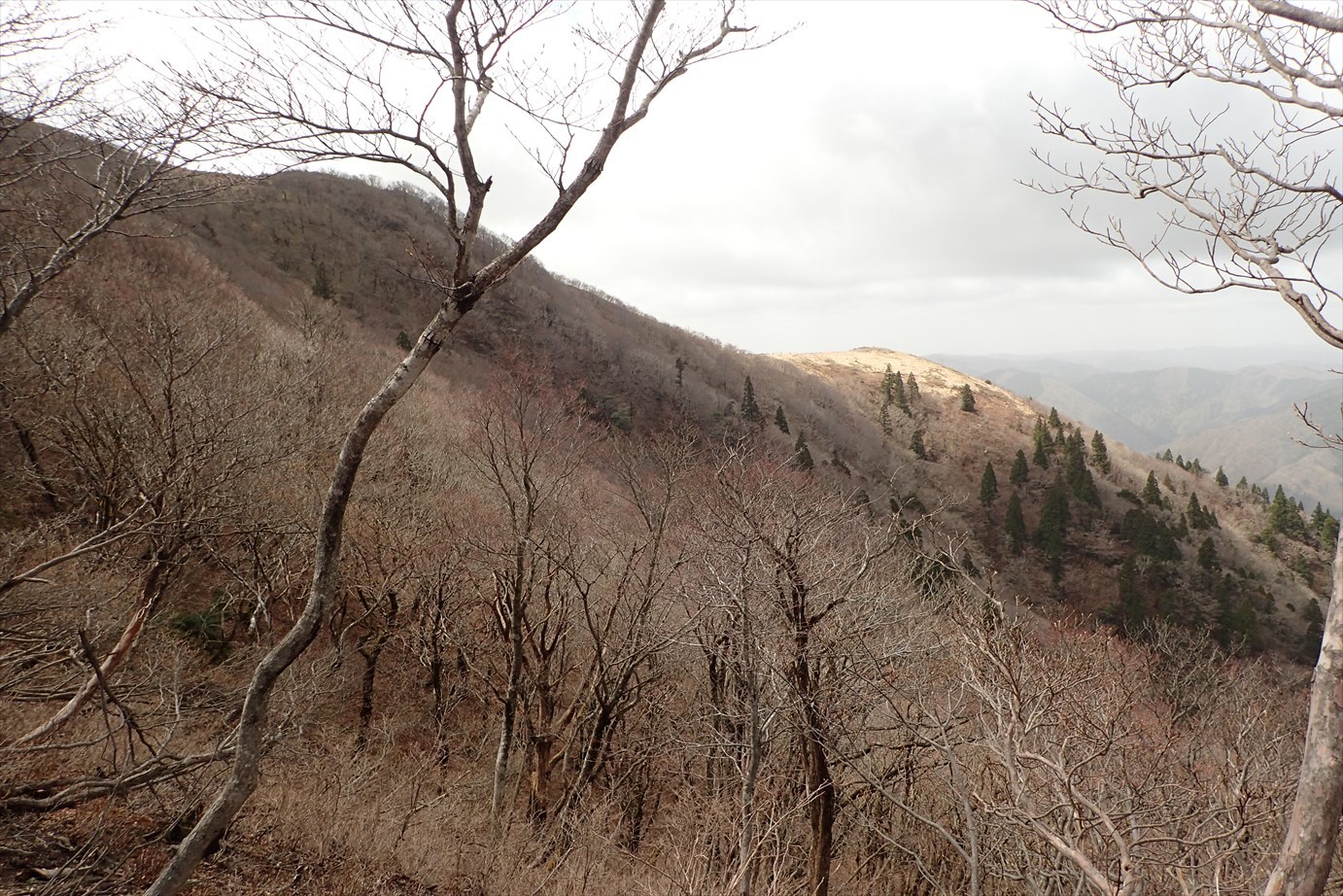 f0348933_19401724.jpg