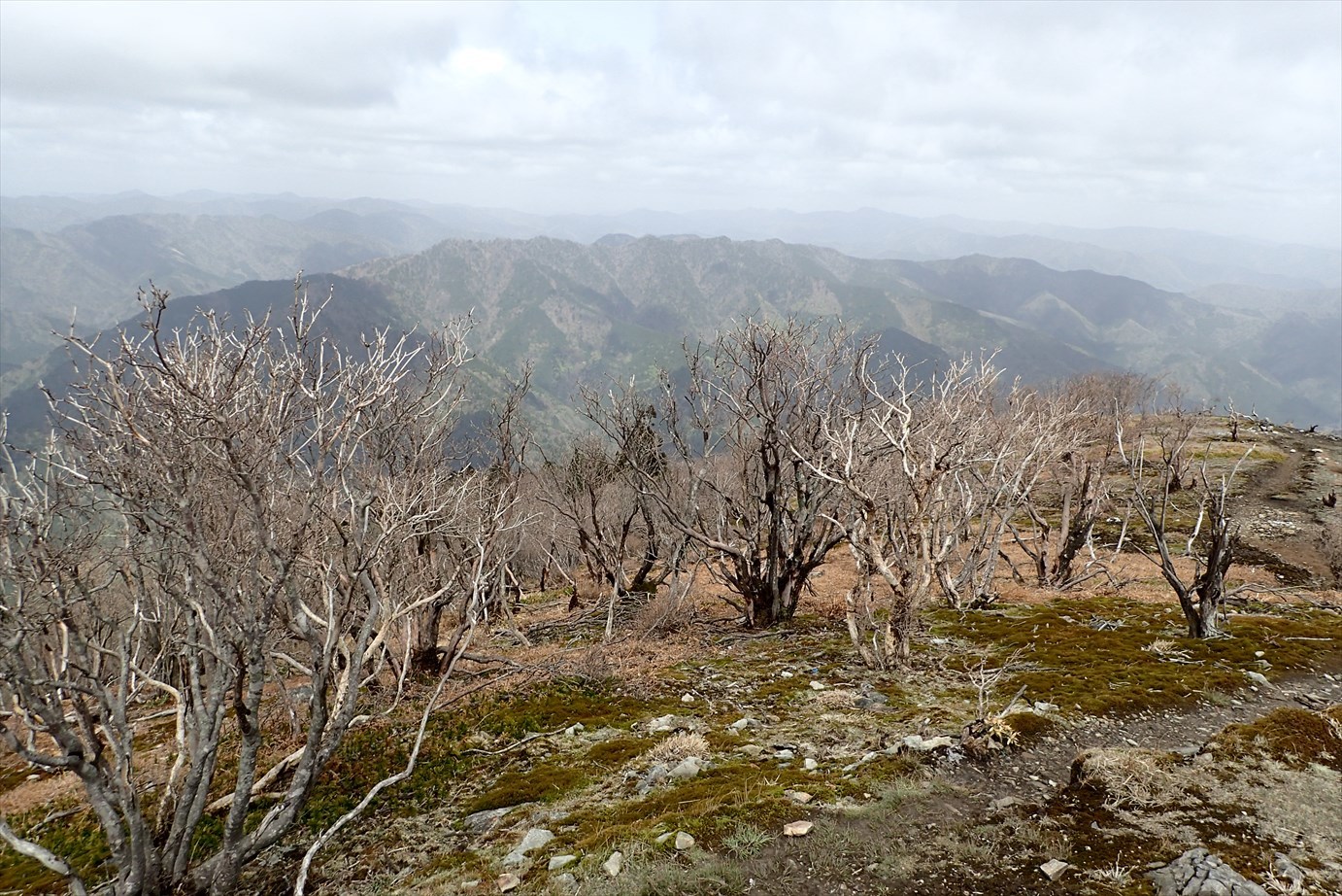 f0348933_19461160.jpg