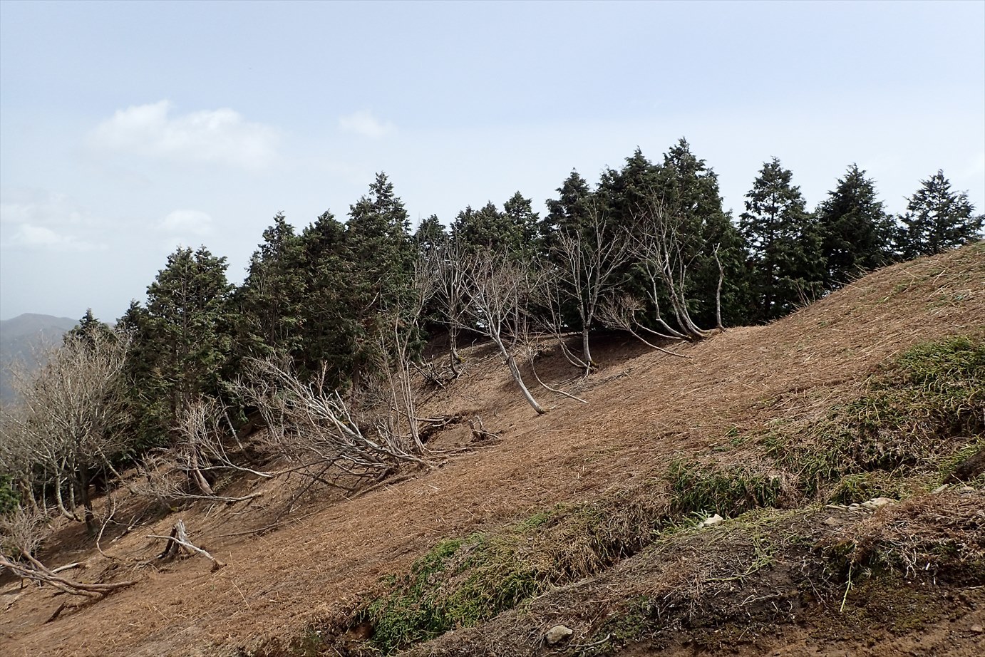 f0348933_19574901.jpg
