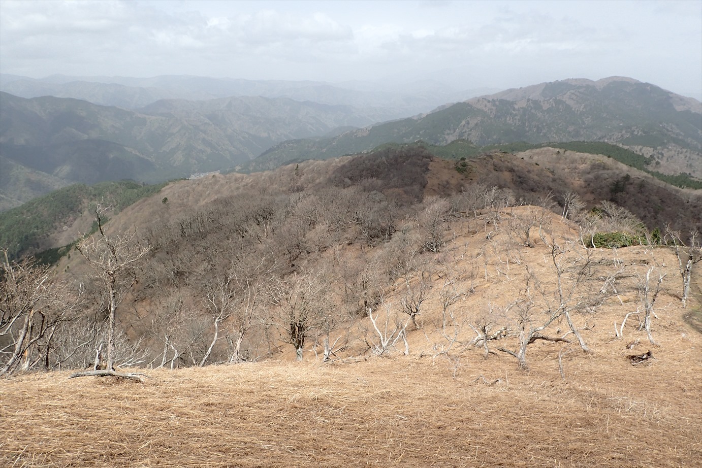 f0348933_19593311.jpg