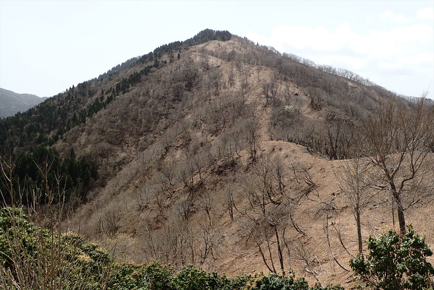 f0348933_20061301.jpg
