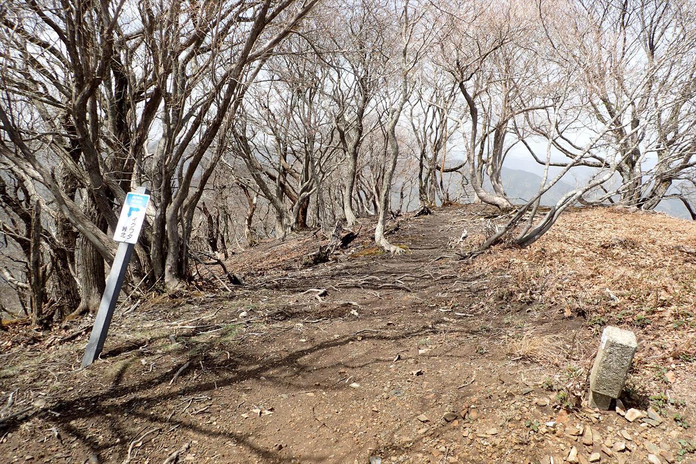 f0348933_20071629.jpg