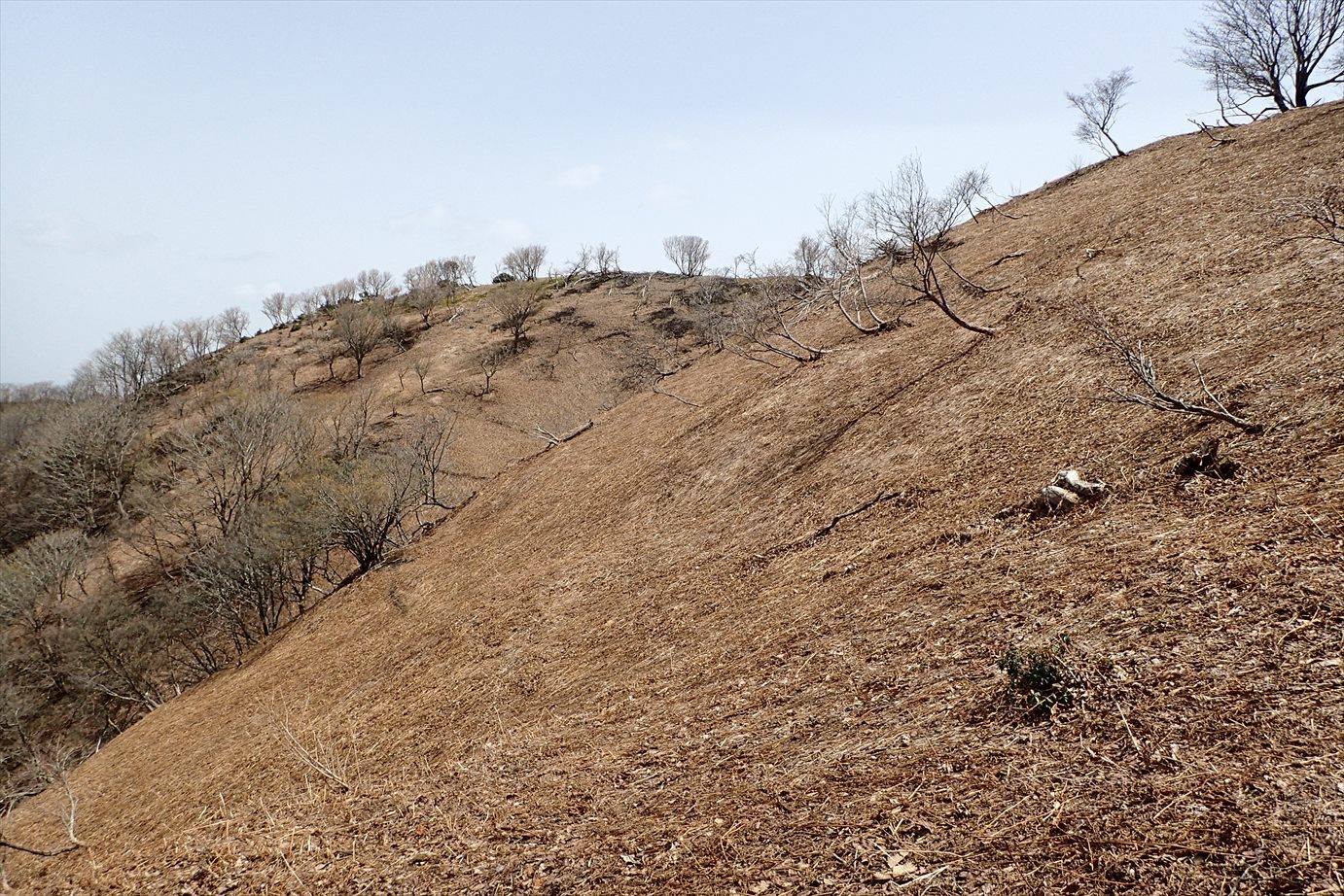 f0348933_20083611.jpg