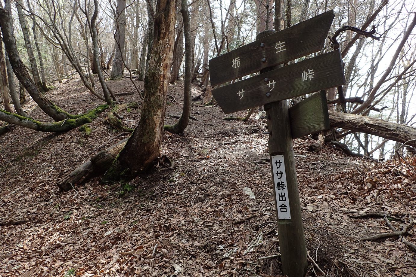 f0348933_20102215.jpg