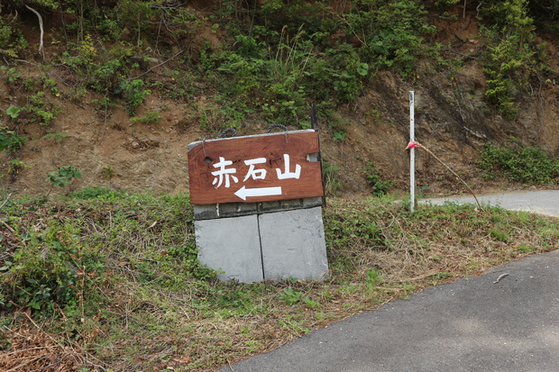 カマエカズラの花＆海峡の鐘（赤石山）！_e0272335_19451716.jpg