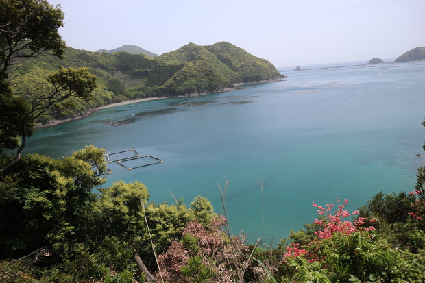 カマエカズラの花＆海峡の鐘（赤石山）！_e0272335_19572549.jpg