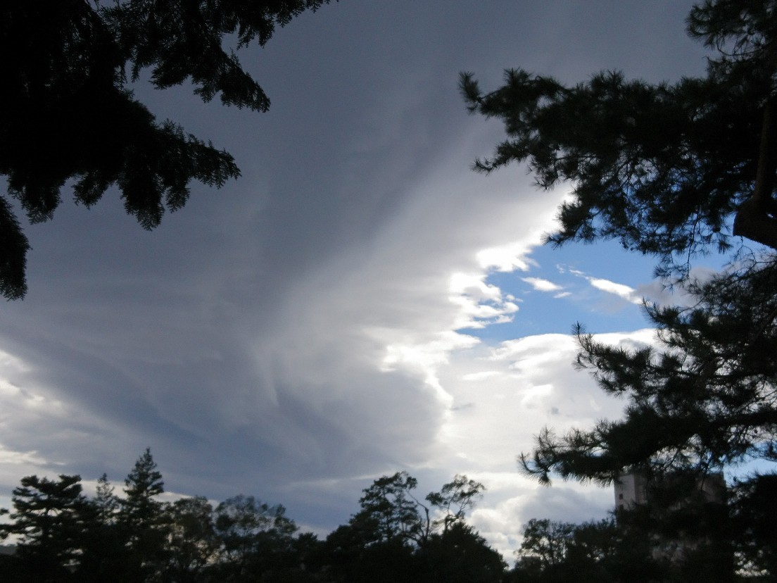 e0263536_12581077.jpg