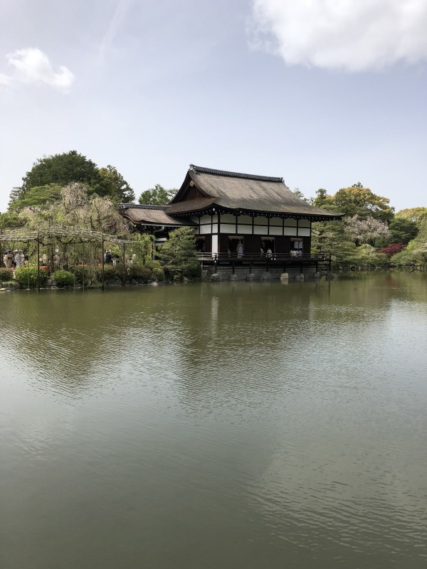 d0282139_19142202.jpeg