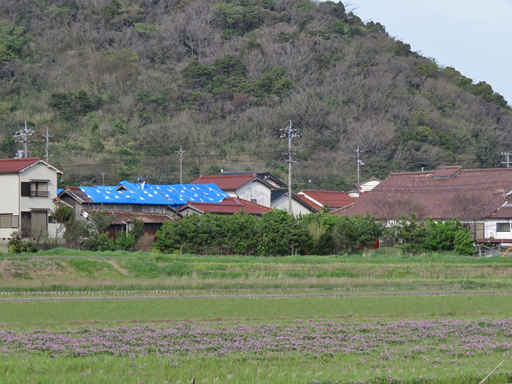 f0214649_04051525.jpg