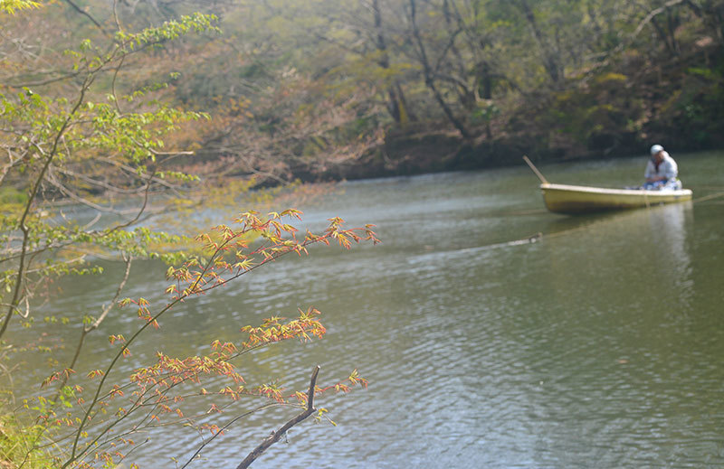 震生湖の春_b0031558_00152895.jpg