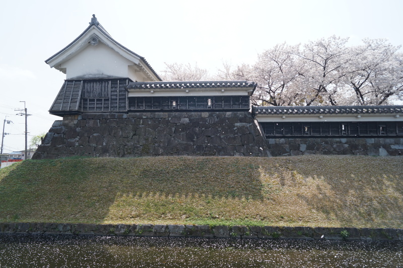 b0063958_21101231.jpg