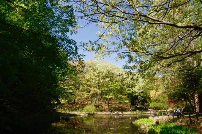 a0248459_19594482.jpg