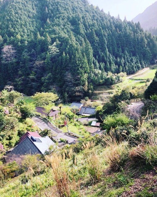c0195362_20152935.jpeg