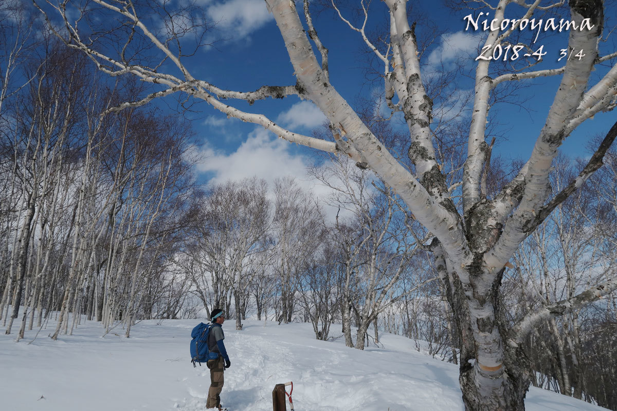 仁頃山　2018年3月　【2018-4～5】+おまけ_f0054366_13182519.jpg