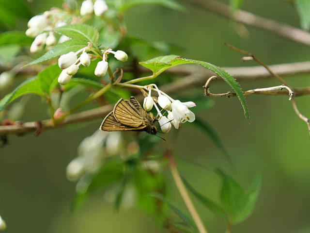 f0199866_07002166.jpg